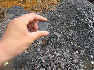 ����鿴������Ϣ